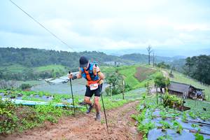 BIB: 1202
                            <button type="button" onclick="openModal(13378357)" class="btn btn-primary btn-sm float-right btn-popup" data-toggle="modal" data-target=".modal-high-quality">
                        <i class="fas fa-shopping-cart"></i> Add to Cart
                    </button>
                                            <button type="button" onclick="isThisMe(13378357, true)" class="btn btn-success btn-sm float-right btn-popup btn-isme hidden" data-toggle="tooltip" data-placement="bottom" title="นี่คือรูปของคุณใช่ไหม คลิกที่นี่เพื่อเอาเข้าอัลบั้ม">
                        <i class="fas fa-plus"></i> Add to album
                    </button>
                    <button type="button" onclick="isThisMe(13378357, false)" class="btn btn-warning btn-sm float-right btn-popup btn-isnotme hidden">
                        <i class="fas fa-ban"></i> Remove from album
                    </button>